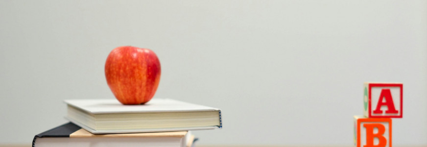 training casusregie en privacy voor deelnemers aan de casusoverleggen Zorg en Veiligheidshuis training casusregie en privacy voor deelnemers aan de casusoverleggen Zorg en Veiligheidshuis