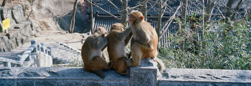 Terugblik webinar ‘Seksueel misbruik – Niet horen, niet zien en niet praten’ - landelijk Terugblik webinar ‘Seksueel misbruik – Niet horen, niet zien en niet praten’ - landelijk
