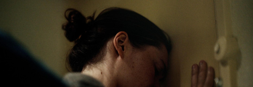 Nationaal Coördinator geweld tegen vrouwen en huiselijk geweld - landelijk